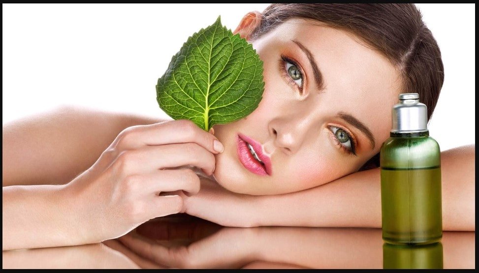 Skin Care in Hindi Wellhealthorganic