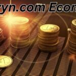 coyyn.com economy